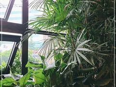 -老号尤兔头(幸福店)