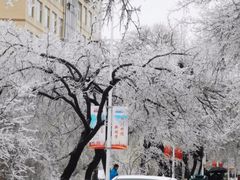 -吉林大学(南岭校区)