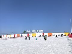 -华彬猛犸滑雪场