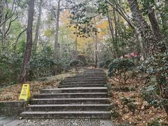 -蒋氏故居