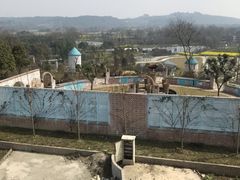 -都江堰玫瑰花溪谷