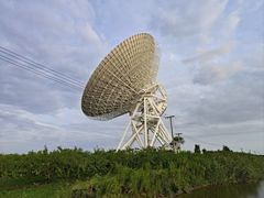 -上海佘山国家森林公园天马山园