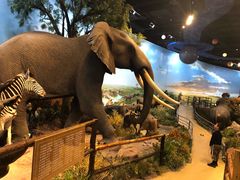 -陕西自然博物馆