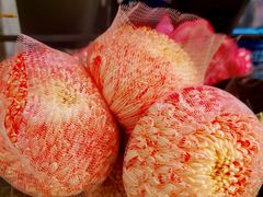 -盒马鲜生(莱蒙都会店)