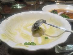 -刘胖子家常菜·蹄花焖藕(中南店)