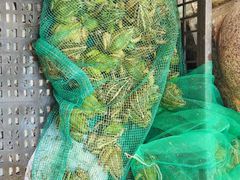-鸿顺老铁锅美蛙鱼府(解放碑店)