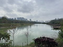 -广西壮族自治区药用植物园