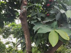 -北京植物园-展览温室