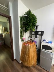 -呼拉汇舞蹈生活馆 Hawaii Hula&Tahiti Dance Studio