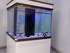 -萌宠奇缘(荣鼎店)