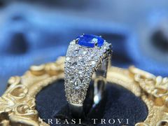 -外滩1288花园丽舍