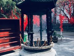 -西安青龙寺遗址景区