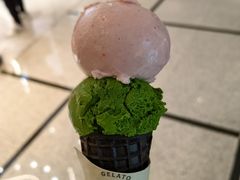 -鹤茶野所(上海首店)