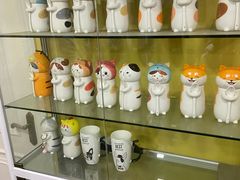 -猫尾侦探俱乐部·剧本杀·狼人杀