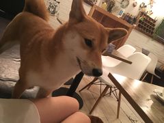 -小时光咖啡馆(北锣鼓巷店)