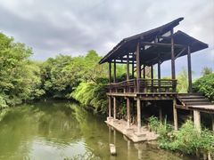 -西溪国家湿地公园