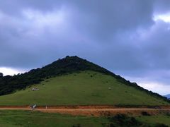 -大姆山草场