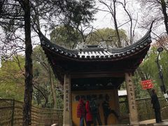-灵岩山风景区