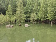 -广州市帽峰山景区
