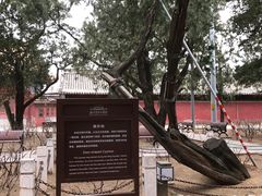 -北京市劳动人民文化宫(太庙)