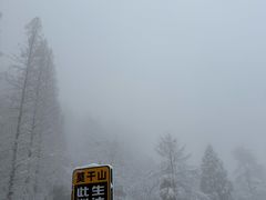-莫干山风景区