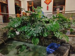 -燕北云山·农家菜·灶台鱼(密云溪翁庄店)