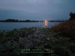 -桐乡凤凰湖
