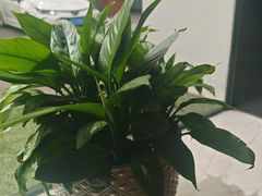 -静一·食光里(黄河路店)