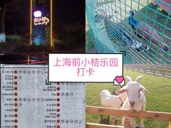 -前小桔亲子创意农场·草莓采摘·露营烧烤