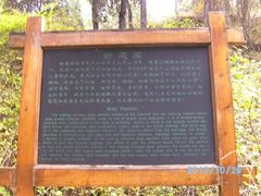 -牛郎织女景区