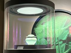 -四川宋瓷博物馆