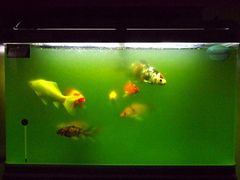 -国贸中心·国贸大厦三期