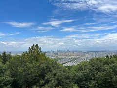 -灵岩山风景区
