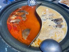 -生活如沸·顺德水牛奶火锅(大学路店)