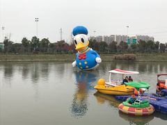 -菊园百果园