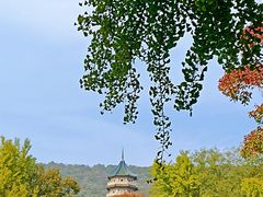 -灵谷景区