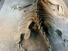 -世界恐龙谷景区