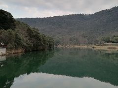 -桃花岭景区