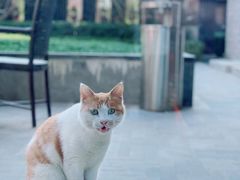 -品悦(崇明凯悦店)