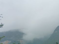 -武陵山森林公园