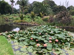 -墨尔本皇家植物园