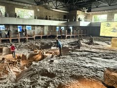 -自贡恐龙博物馆