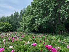 -长春公园(普阳街道)