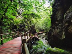 -牛背梁国家森林公园