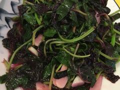 -胖大姐黄辣丁鱼庄(新津店)