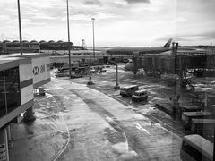 -翡翠拉面小笼包(机场DFS店)