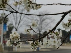 -国际非物质文化遗产博览园