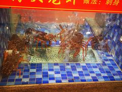 -顺峰(南二环店)