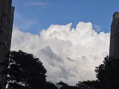 -仁恒西郊花园