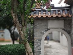 -碧江金楼
